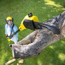 Best Lawn Watering Services  in St Peter, WI