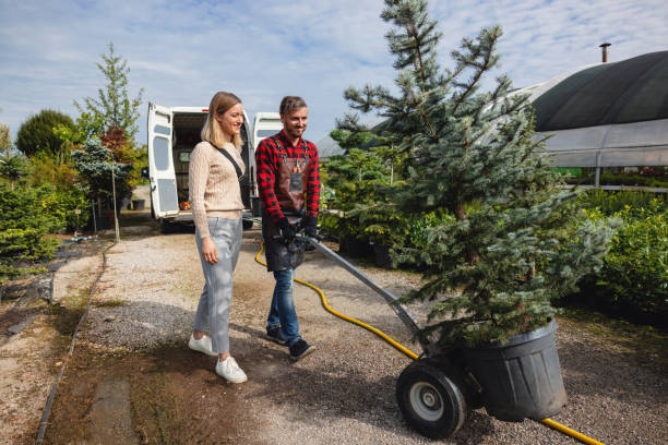 Best Hazardous Tree Removal  in St Peter, WI